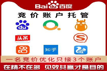 百度推广费用的投入与市场占有率提升的关联案例